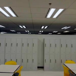 462557249 569736762579935 342628468257162875 n